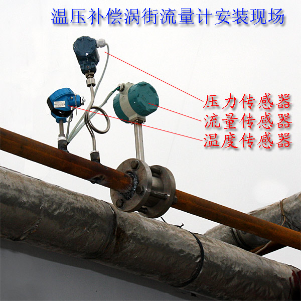 帶溫壓補償渦街安裝示意圖